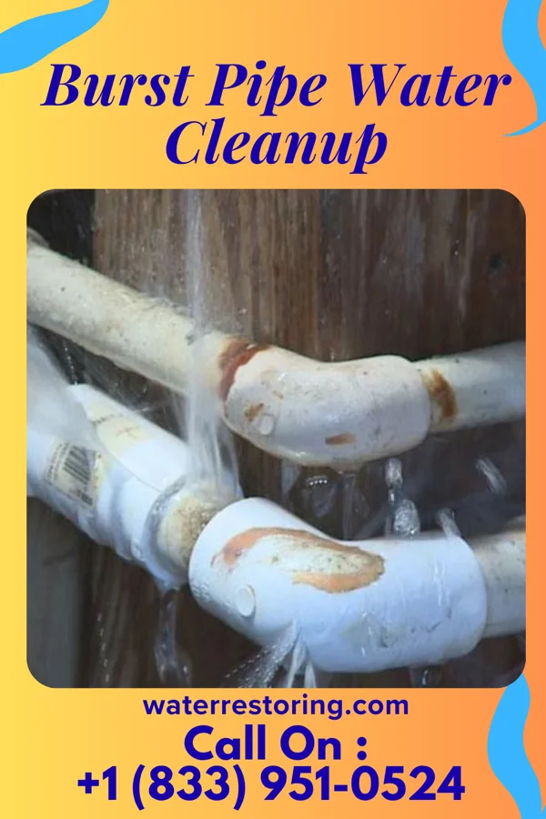Burst Pipe Water Cleanup in Bally, PA