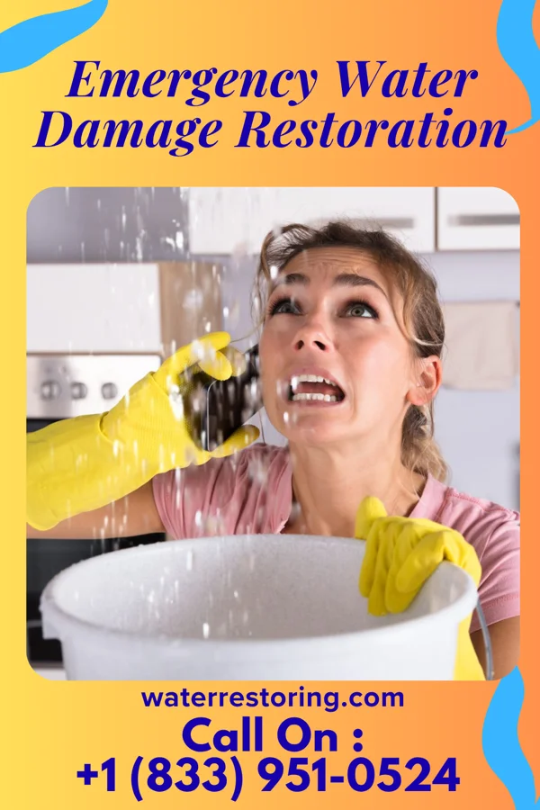Emergency Water Damage Restoration in Bally, PA