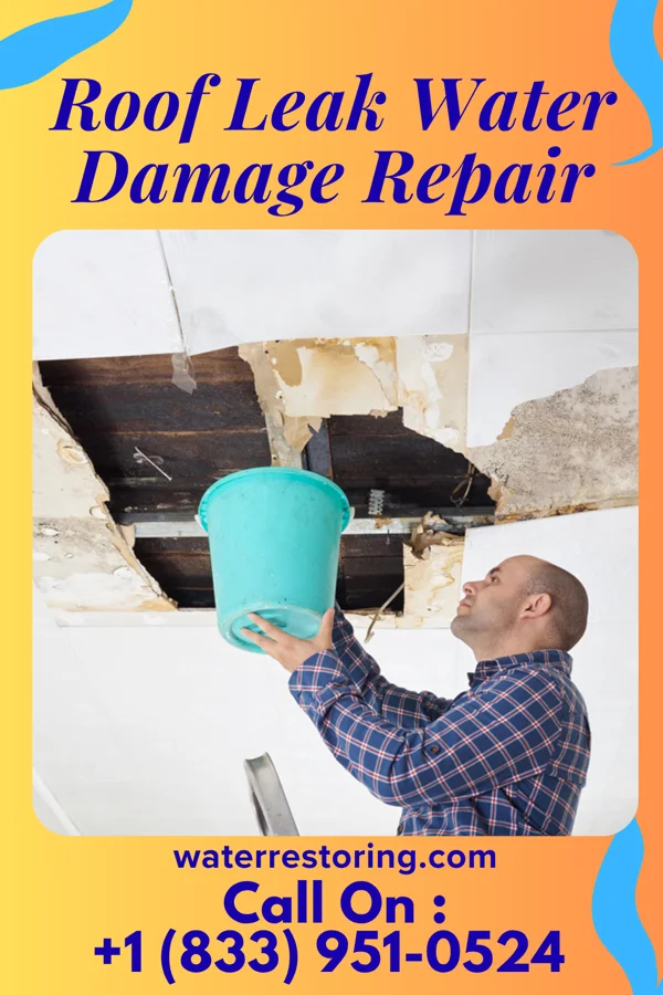 Roof Leak Water Damage Repair in Bally, PA