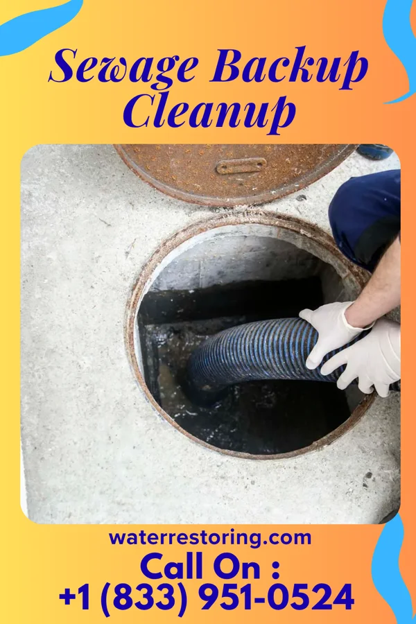 Sewage Backup Cleanup in Bally, PA