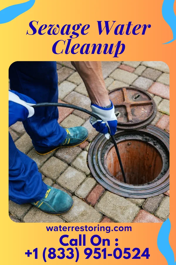 Sewage Water Cleanup in Bally, PA