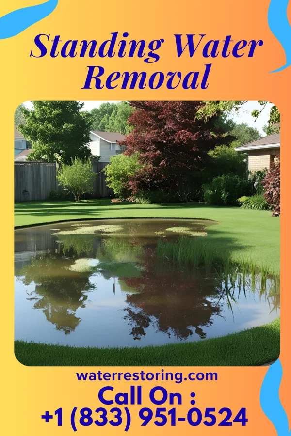 Standing Water Removal in Bally, PA